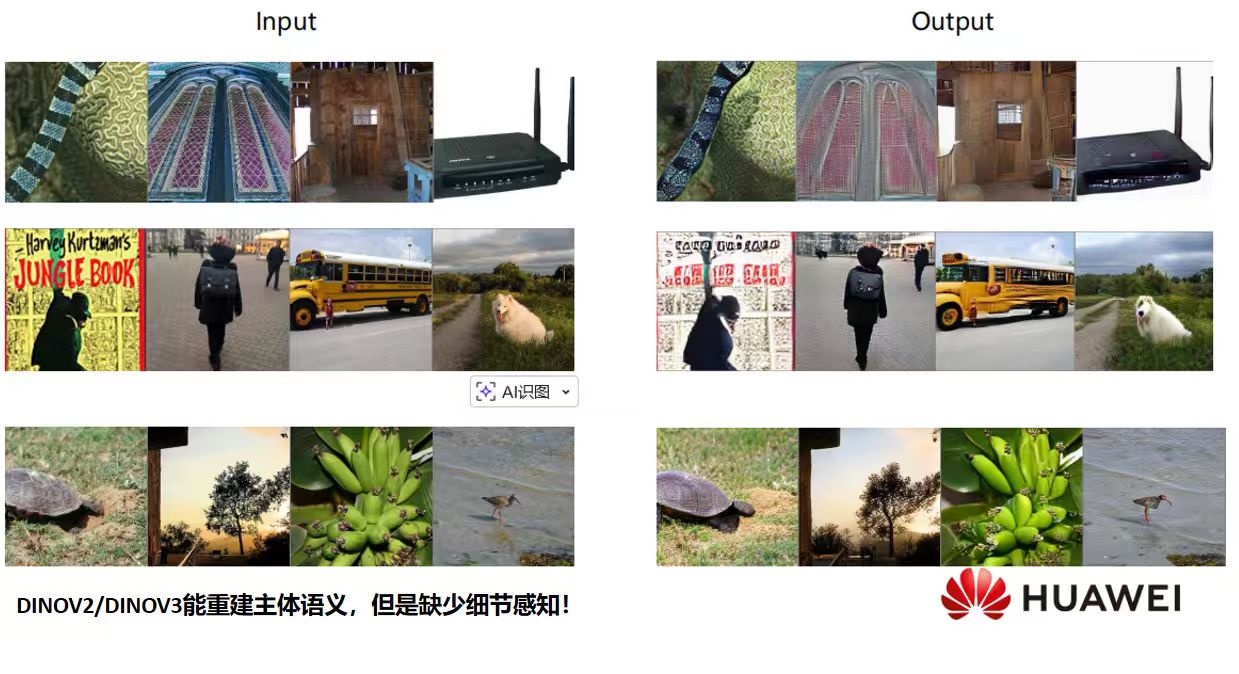 DINOv2/DINOv3 能重建主体语义，但缺少细节感知